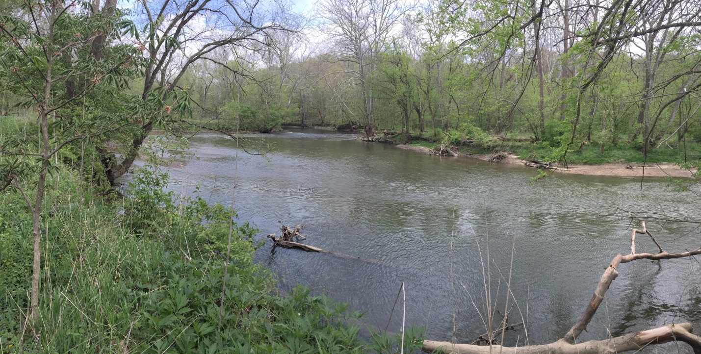 Little Miami River.jpg